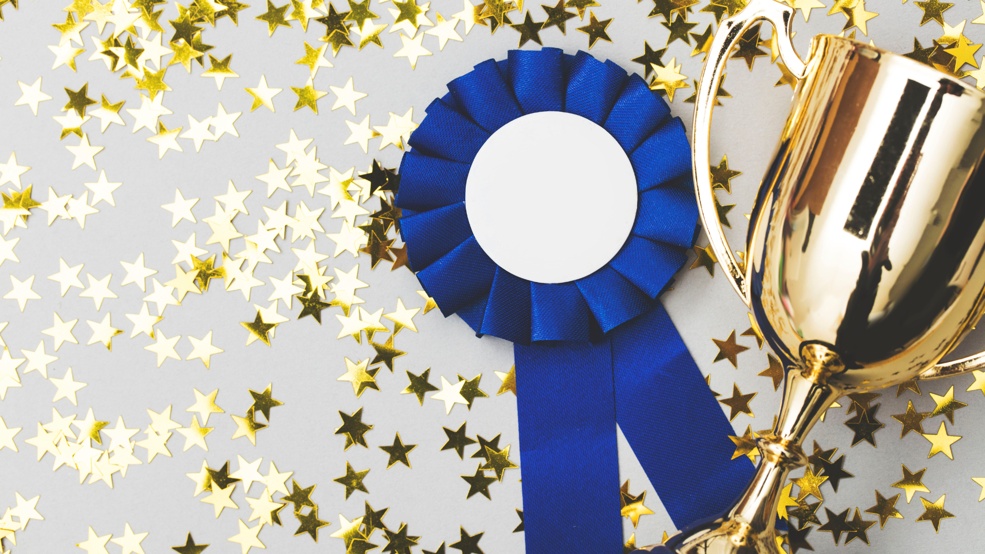 2025 Veterans Day Poster Winner Announced